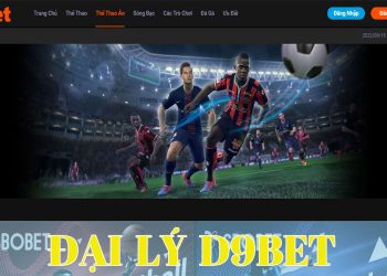 Cách đăng ký trở thành đại lý D9Bet