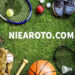 Niearoto.com Link truy cập Sbobet cho mọi cược thủ
