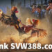 SVW288.com trang quản trị SV388 Agent không bị chặn