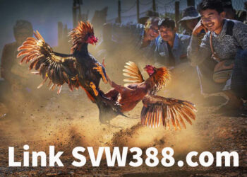 SVW388.com link login nhà cái đá gà SV388 không bị chặn